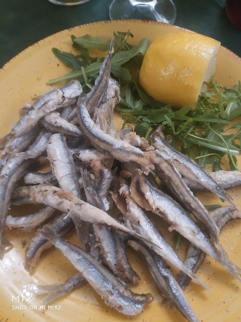 Menu_Restaurant And Pizzeria Zelluso Arcamone Di Vincenzo_Casamicciola Terme_image_5