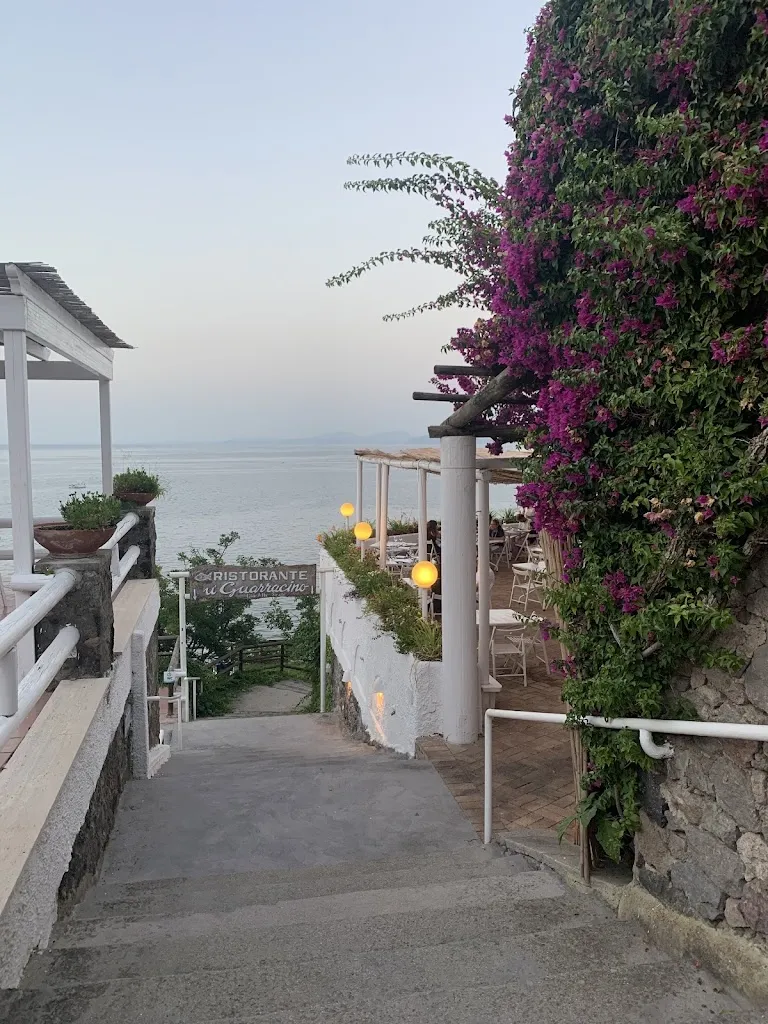 Diana Macovei_Ristorante guarracino_Casamicciola Terme_review