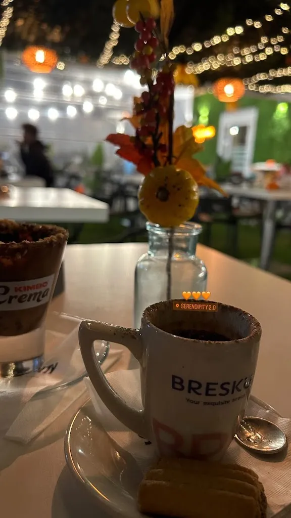 Ilaria Di Gennaro_Serendipity_Casaluce_review