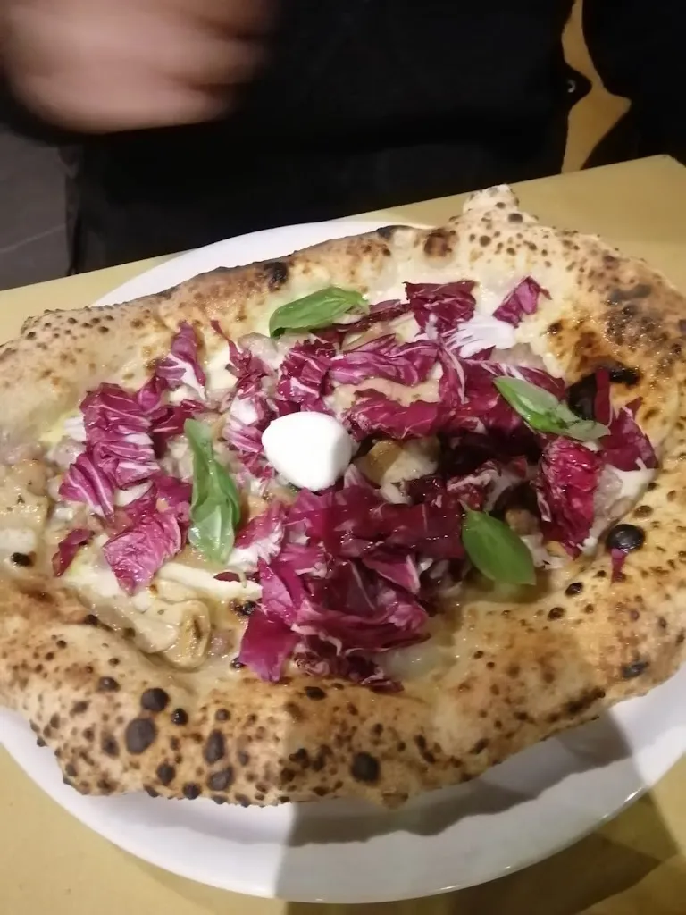 Domenico Bove_Tabula_Casaluce_review