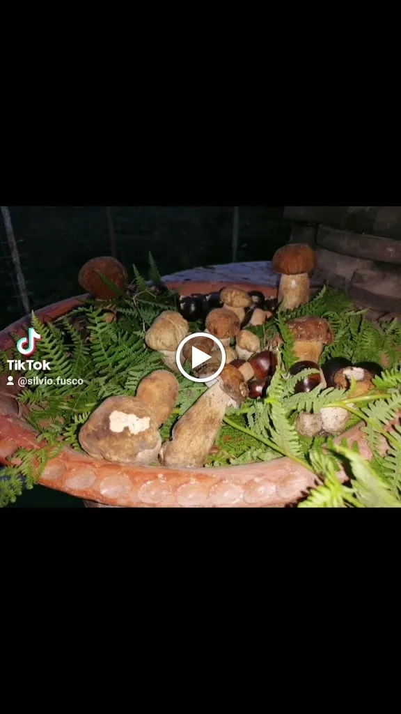 RistorArt solidale Zi catari'_Cascano_slider_image_2