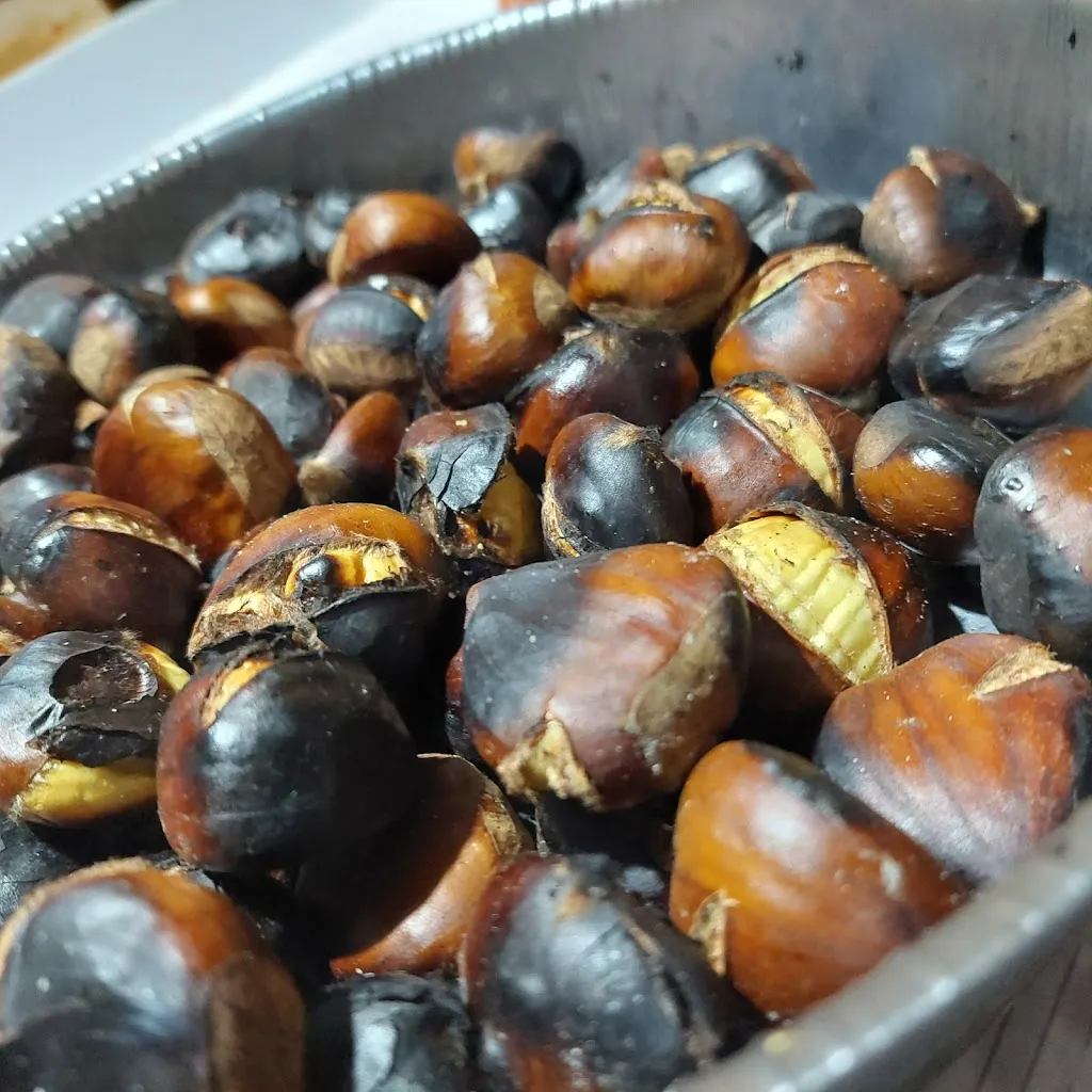 loredana cedrola_Bar, RistoPub, Affittacamere, La Sosta Caselle in Pittari_Caselle in Pittari_review