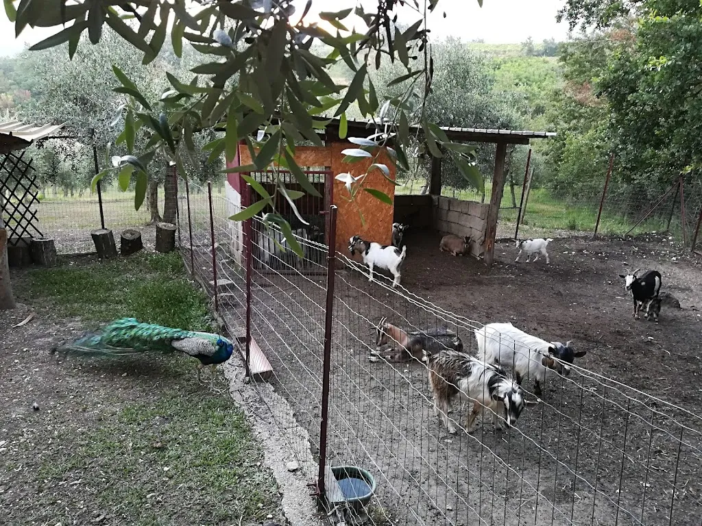 San Marco Evangelista restaurant in Castel Campagnano