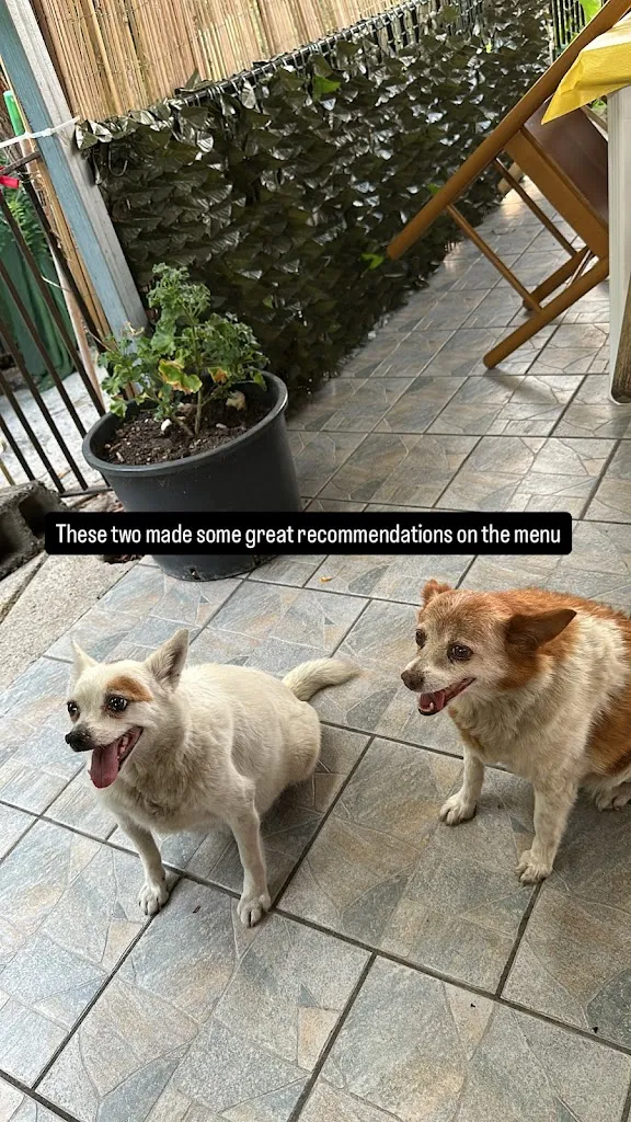 Victoria Barbieri _La Stella Del Calore_Castel San Lorenzo_review