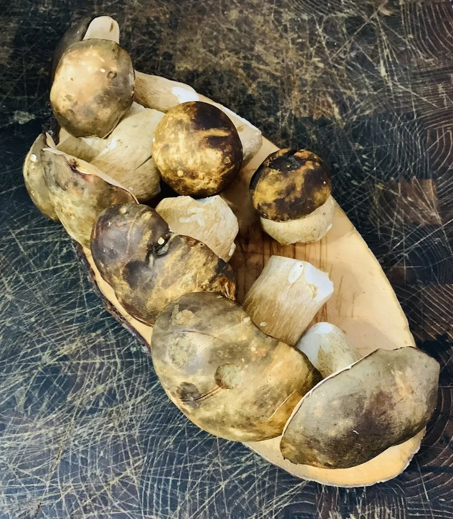 NZIRIA MAGAZINE_Osteria e Pizzeria Laura_Castel San Giorgio_review