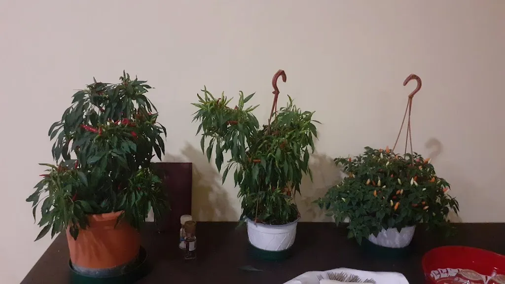 Subhrendu Bhakta_Ristorante Santo Spirito_Castelcivita_review