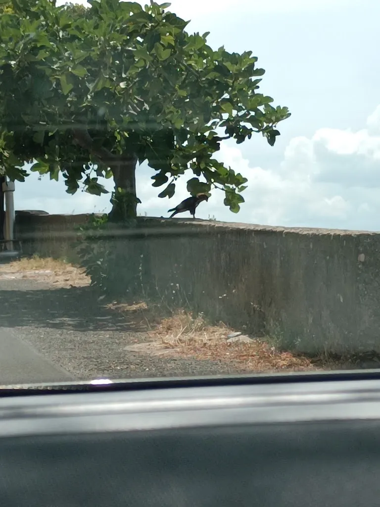 CiMar_Il Porcino_Castelcivita_review