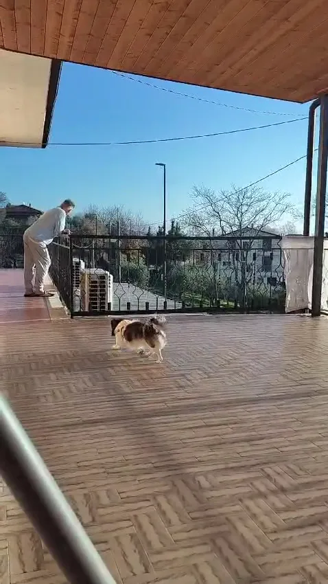 Maria Seciu_Agriturismo Montagne Verdi_Castelfranci_review