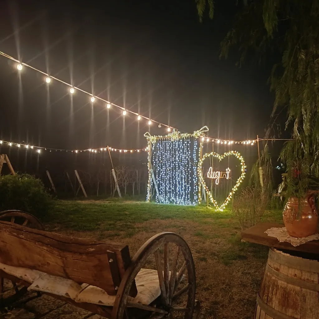 Alessia Frattasi_La Vigna di Filippo_Castelvenere_review