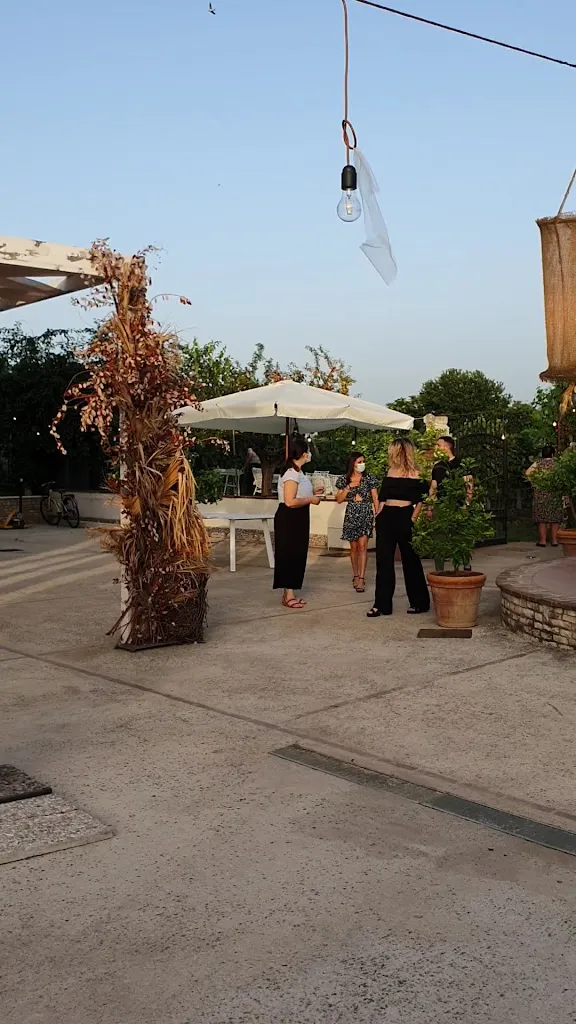 Azienda Agricola Scompiglio_Castelvenere_slider_image_2