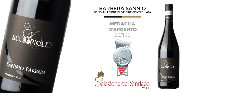 Azienda Agricola Scompiglio_Castelvenere_slider_image_3