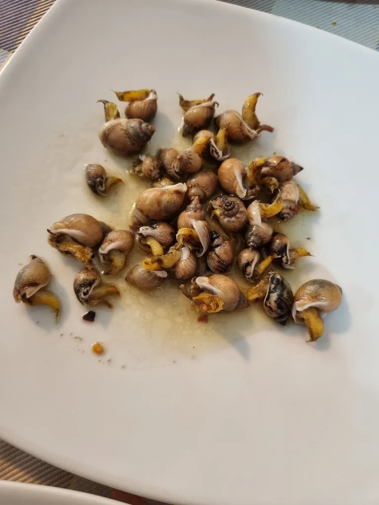 Menu_Trattoria Bolina 