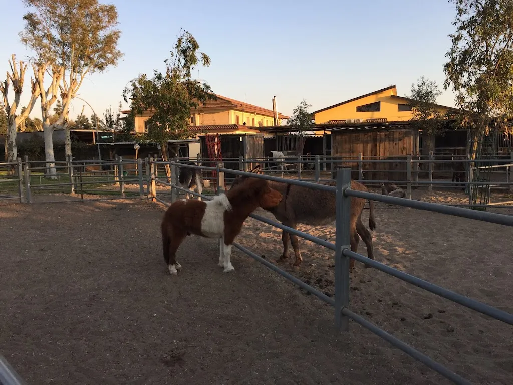 Philip Ibbitson_Baffone_Castel Volturno_review