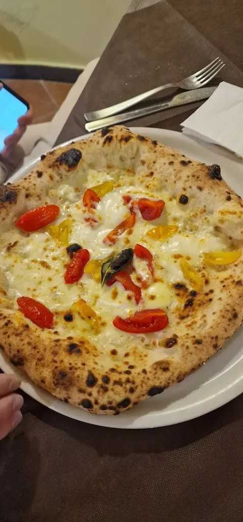 Viviana Lotito_Il pinterrè_Centola_review