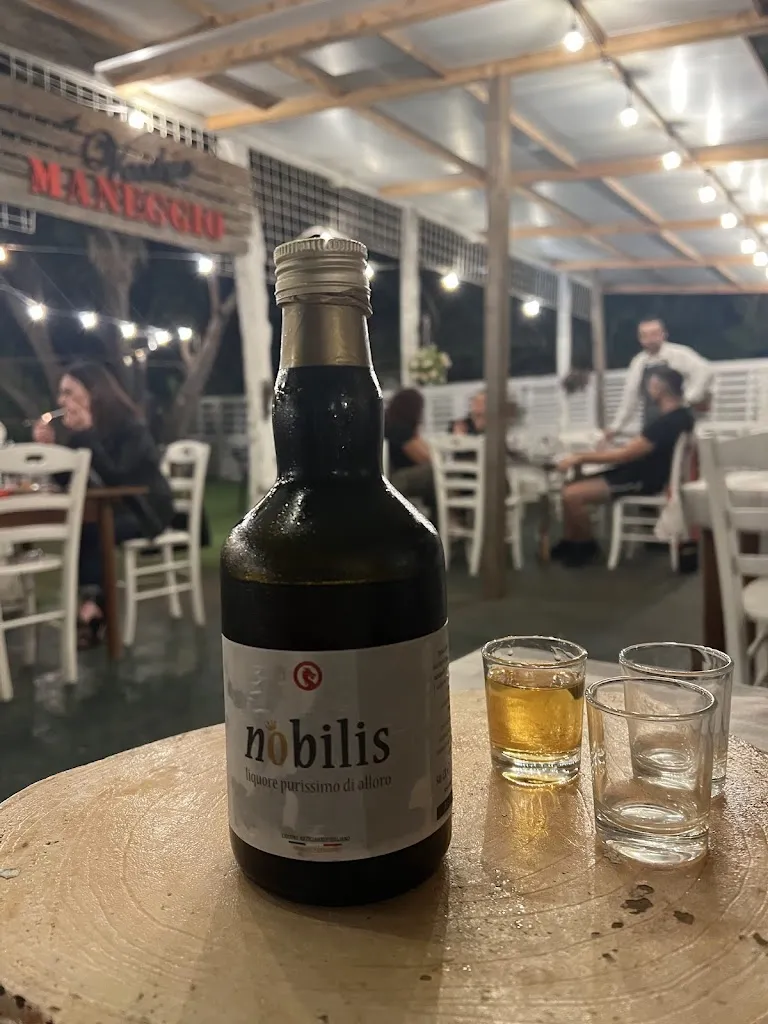 Menu_AL VECCHIO MANEGGIO_Cellole_image_9