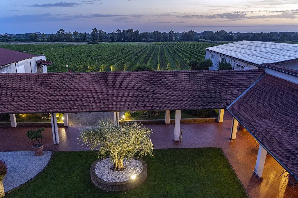 Villa Matilde Avallone restaurant in Cellole