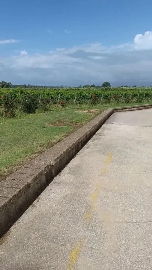 Villa Matilde Avallone_Cellole_slider_image_2