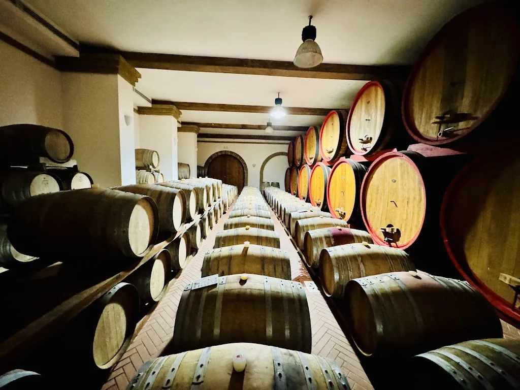 Villa Matilde Avallone_Cellole_slider_image_3