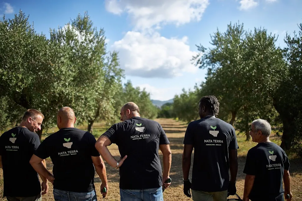 Fattoria / Frantoio "Nata Terra" restaurant in Cellole