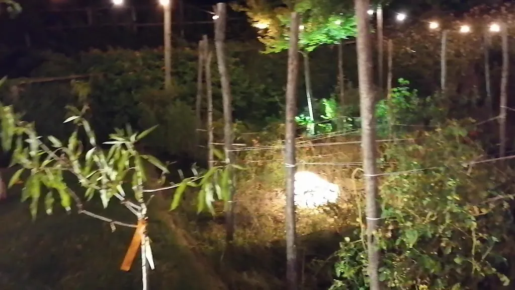 Tenuta Na.Ri._Cava Dè Tirreni_slider_image_2