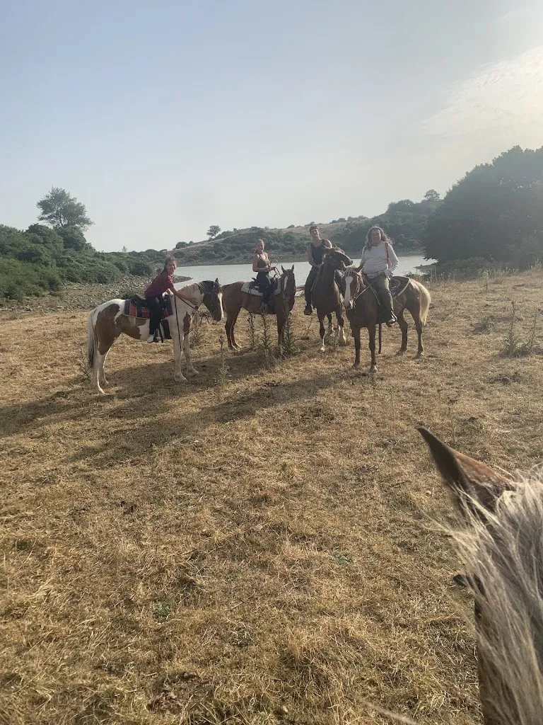 Ottavia Scaggiante_CENTRO IPPICO - AGRICAMPEGGIO LA LENTE_Cerreto Sannita_review