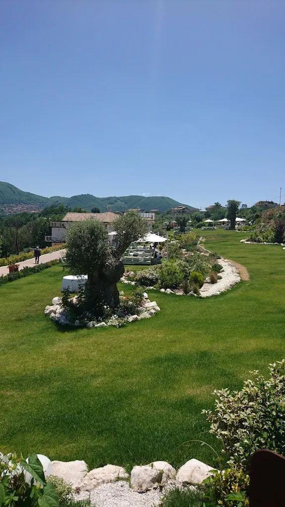 Antonio Festa_Cantina Riccio_Chiusano di San Domenico_review