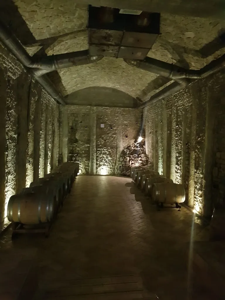 Cantina Riccio_Chiusano di San Domenico_slider_image_3