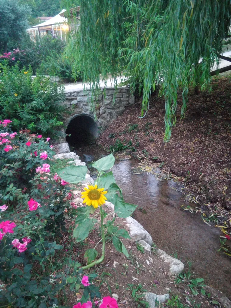 Niko_La Fonte_Ciorlano_review