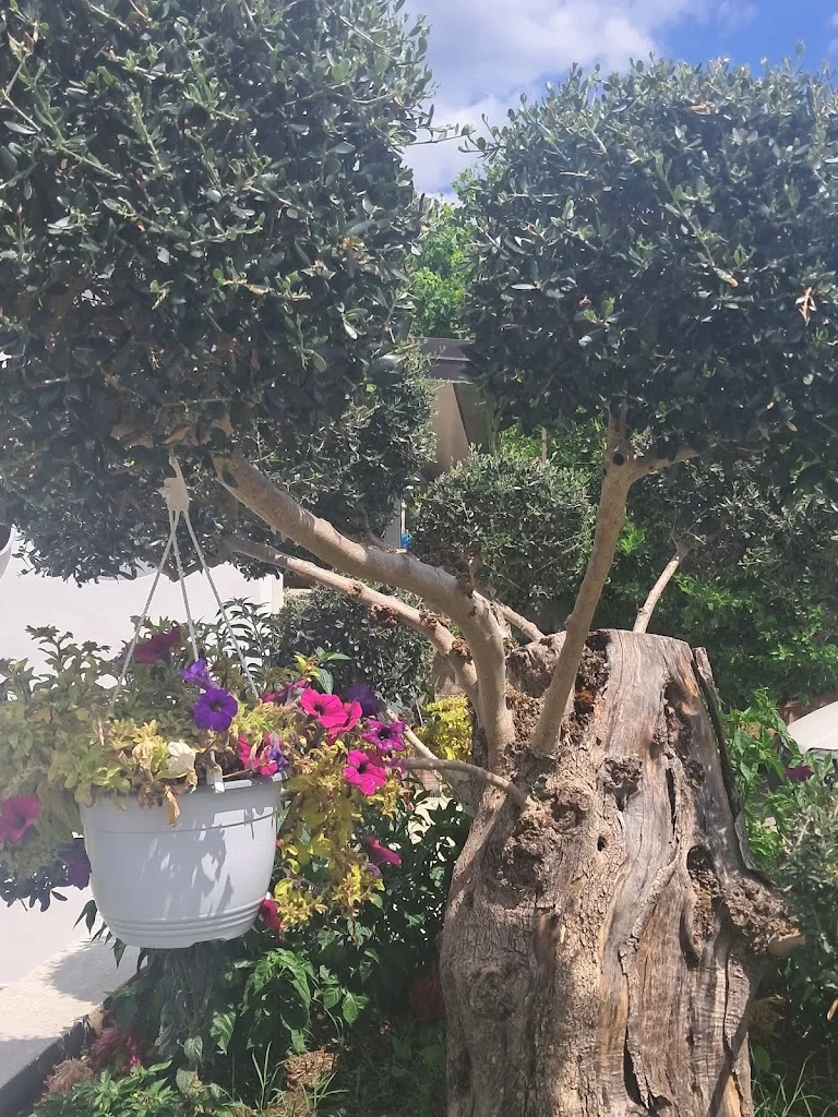 Giulia_Trattoria La Tana Del Lupo_Colliano_review