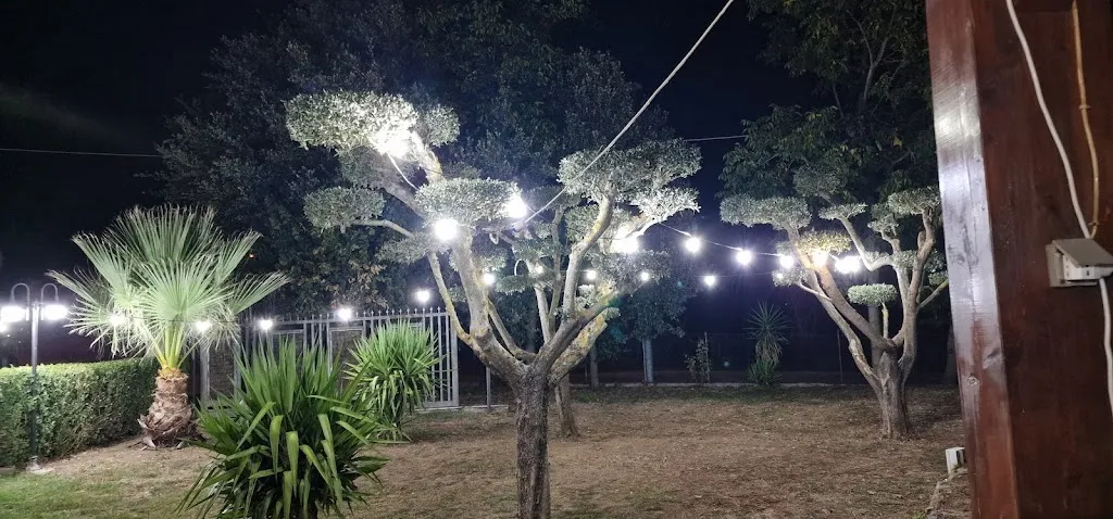 Sim One_Bufalo Grill_Colliano_review