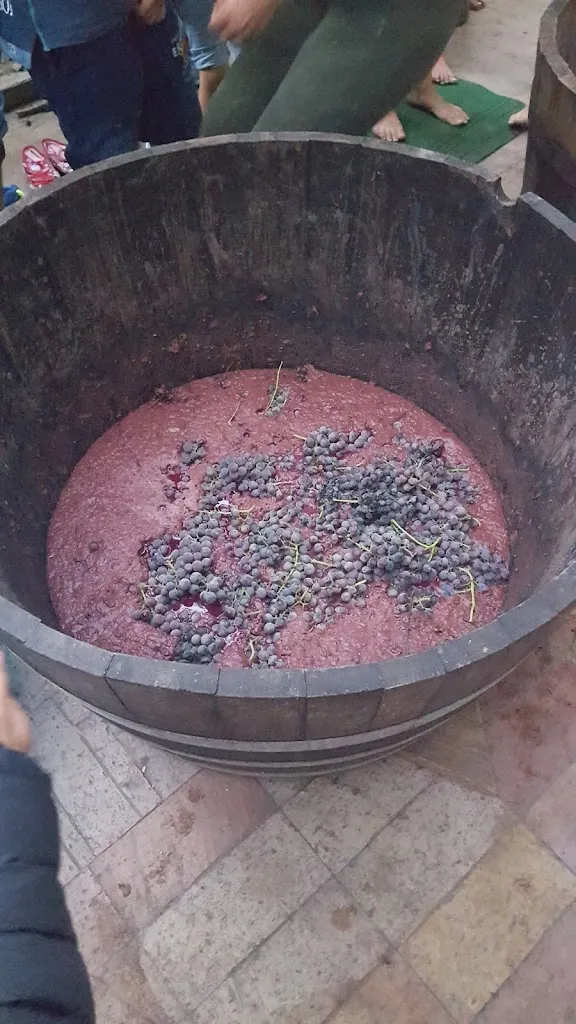 Menu_Masseria Cortile Grande_Chiaiano_image_7