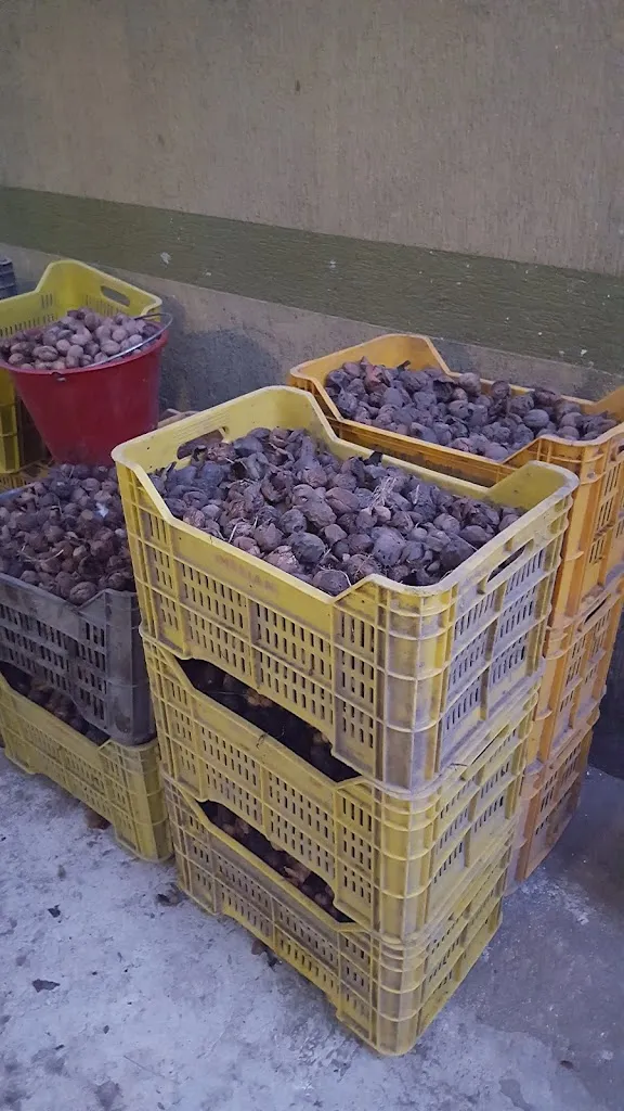 Menu_Masseria Cortile Grande_Chiaiano_image_9