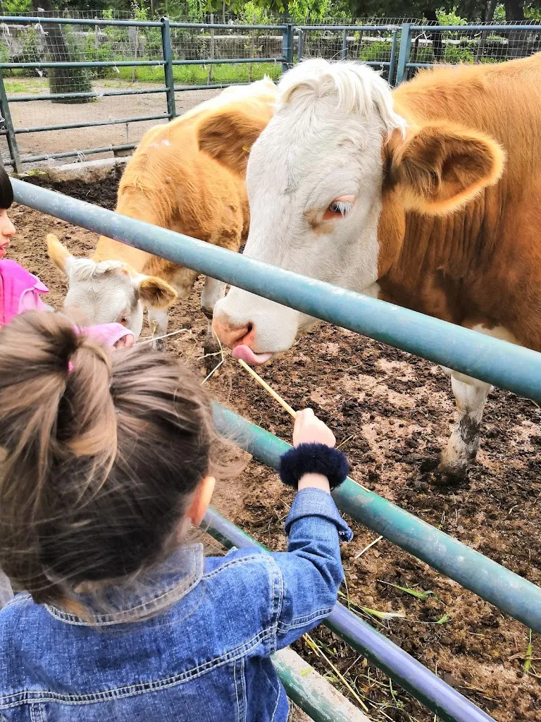 Masseria Cortile Grande_Chiaiano_slider_image_2