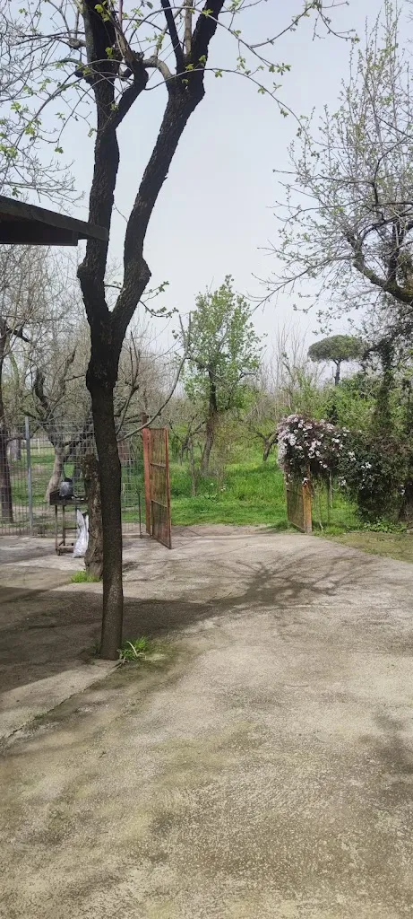 Masseria Cortile Grande_Chiaiano_slider_image_3