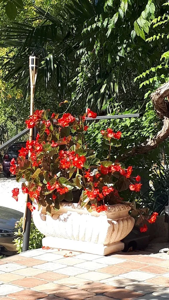 Christian van der Westhuizen_Taverna Don Fumino_Lettomanoppello_review