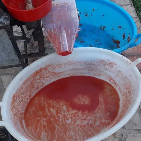 Menu_Agriturismo Parisi_Contursi Terme_image_5