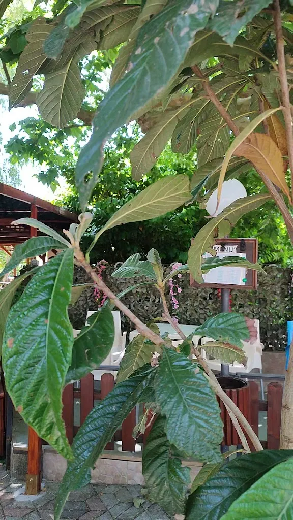 RISTORANTE IL FARO_Contursi Terme_slider_image_2