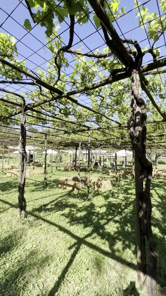 massimiliano sabato_Al Convivio - Home Restaurant_Coperchia_review