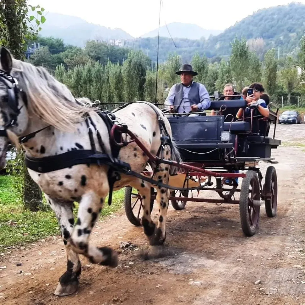 Richard Fox_Al Convivio - Home Restaurant_Coperchia_review