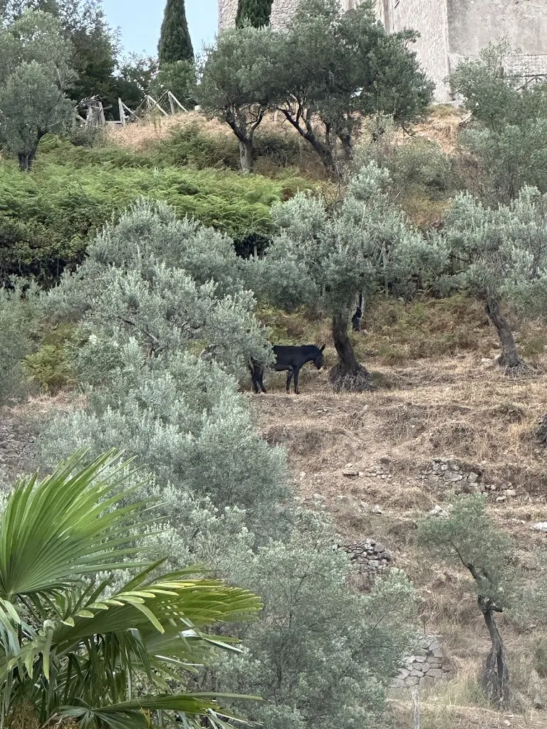 Riccardo_Agriturismo A casa di Anna_Coperchia_review