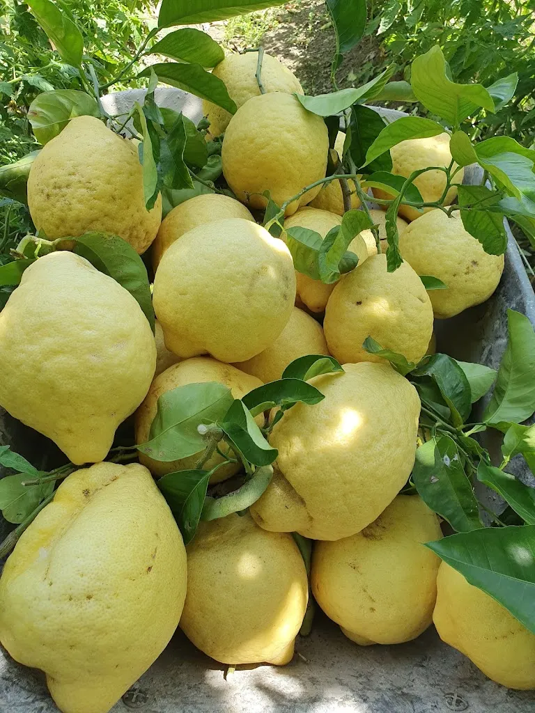 Corbarino tour_Corbara_slider_image_3