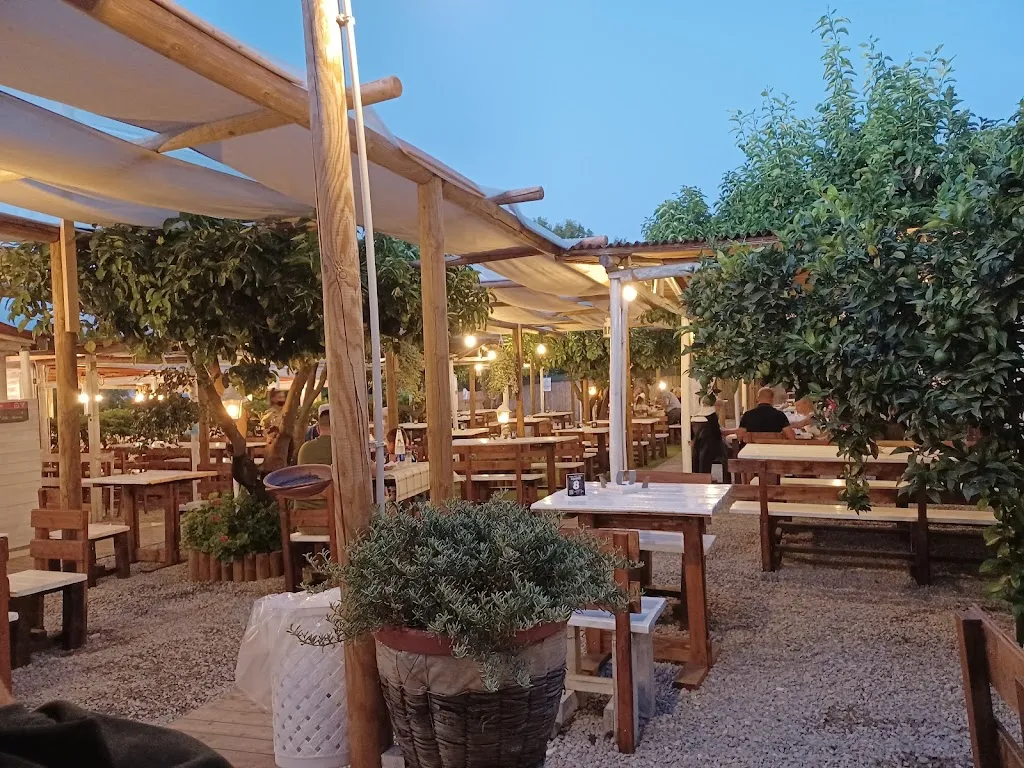 L'Agrumeto_Corbara_slider_image_1