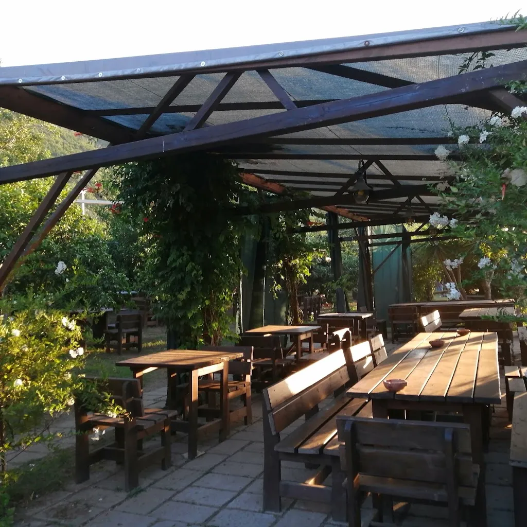 Il Pettirosso Sound Kitchen restaurant in Corbara