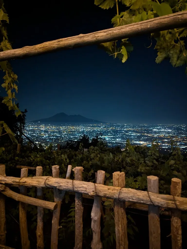 Zack_La Yogurteria Mi Carrò_Corbara_avis