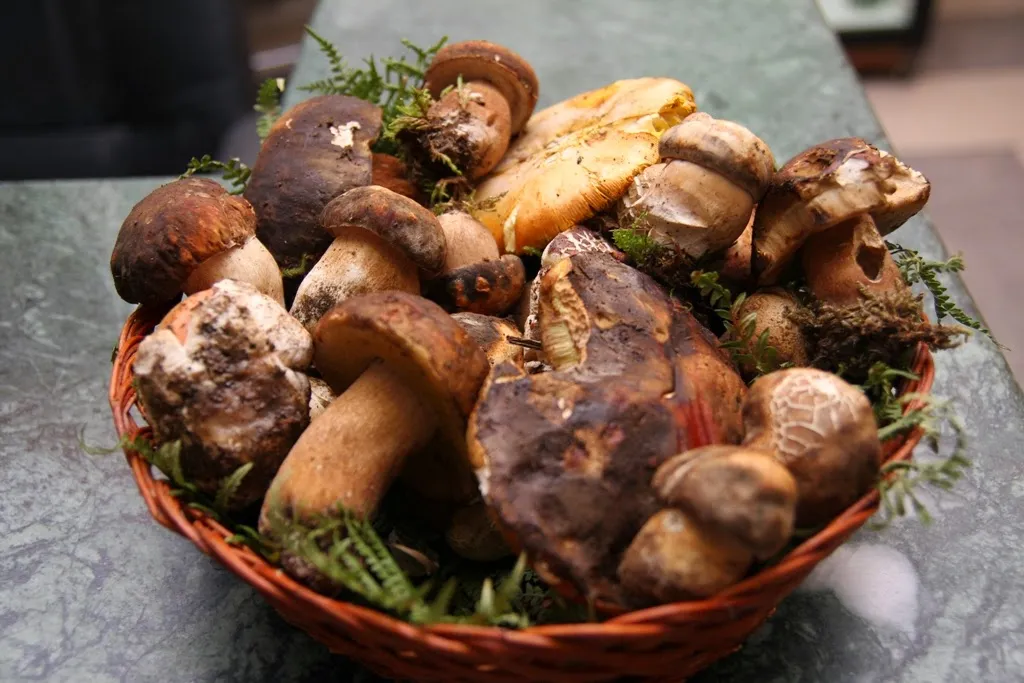 Ristorante Pizzeria Mastrillo_Cusano Mutri_slider_image_2