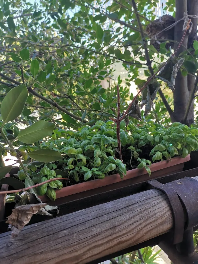 Domenico di Lucia Sposito_La Piccola Perla Del Matese_Cusano Mutri_review