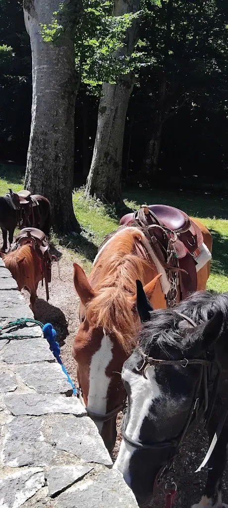 bobby ponza_Rifugio Montano_Cusano Mutri_review