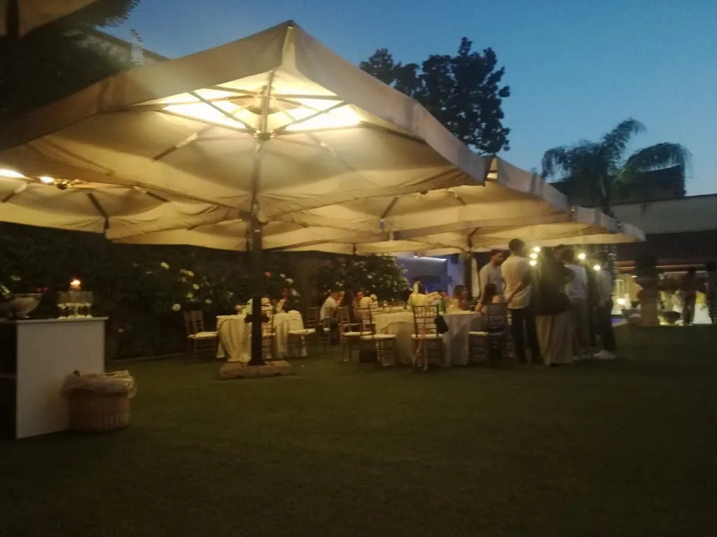 tonysety_New Scotch_Crispano_review