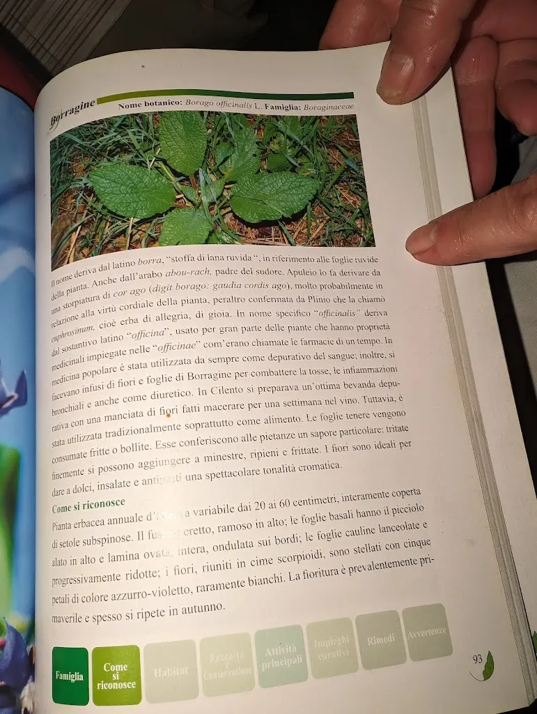 Vince Cerchio_Agriturismo L'Occhiano_Felitto_recensione