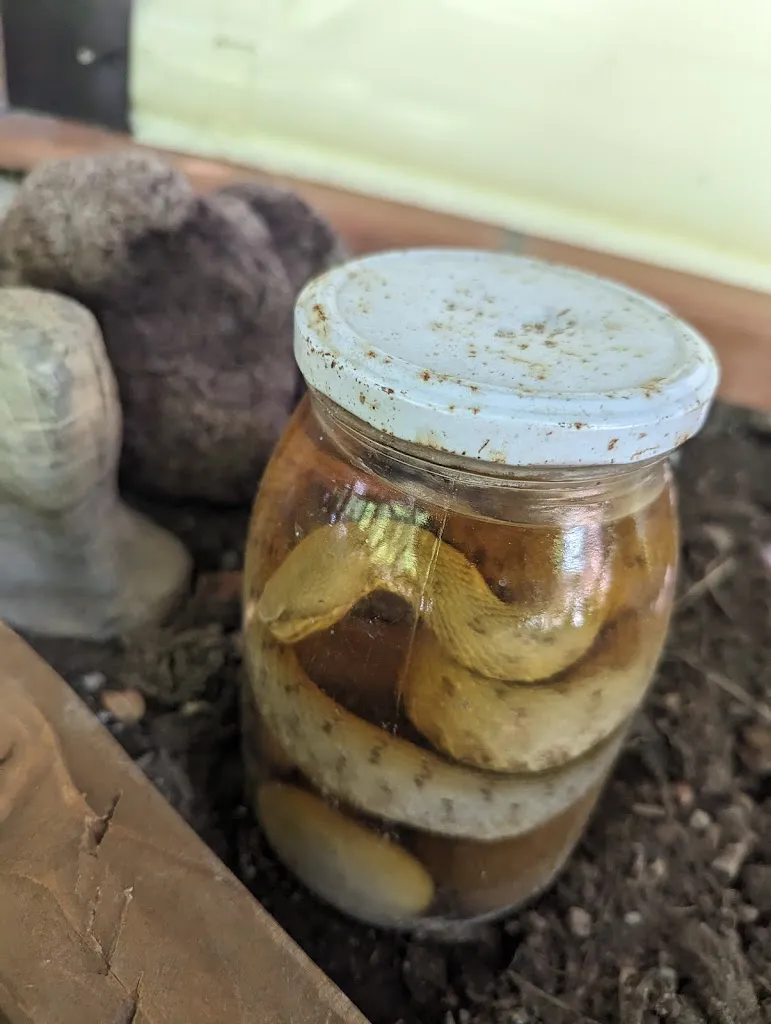 Menu_Ristorante Di Mauro Oristanio_Felitto_image_9